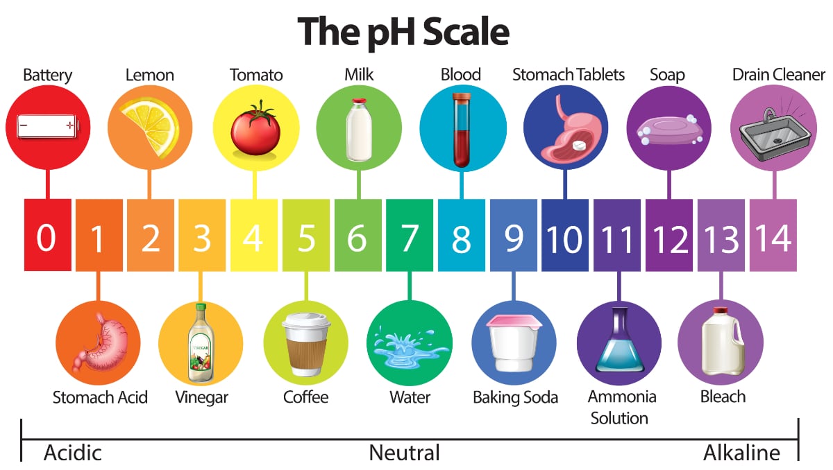 The pH scale with some common examples